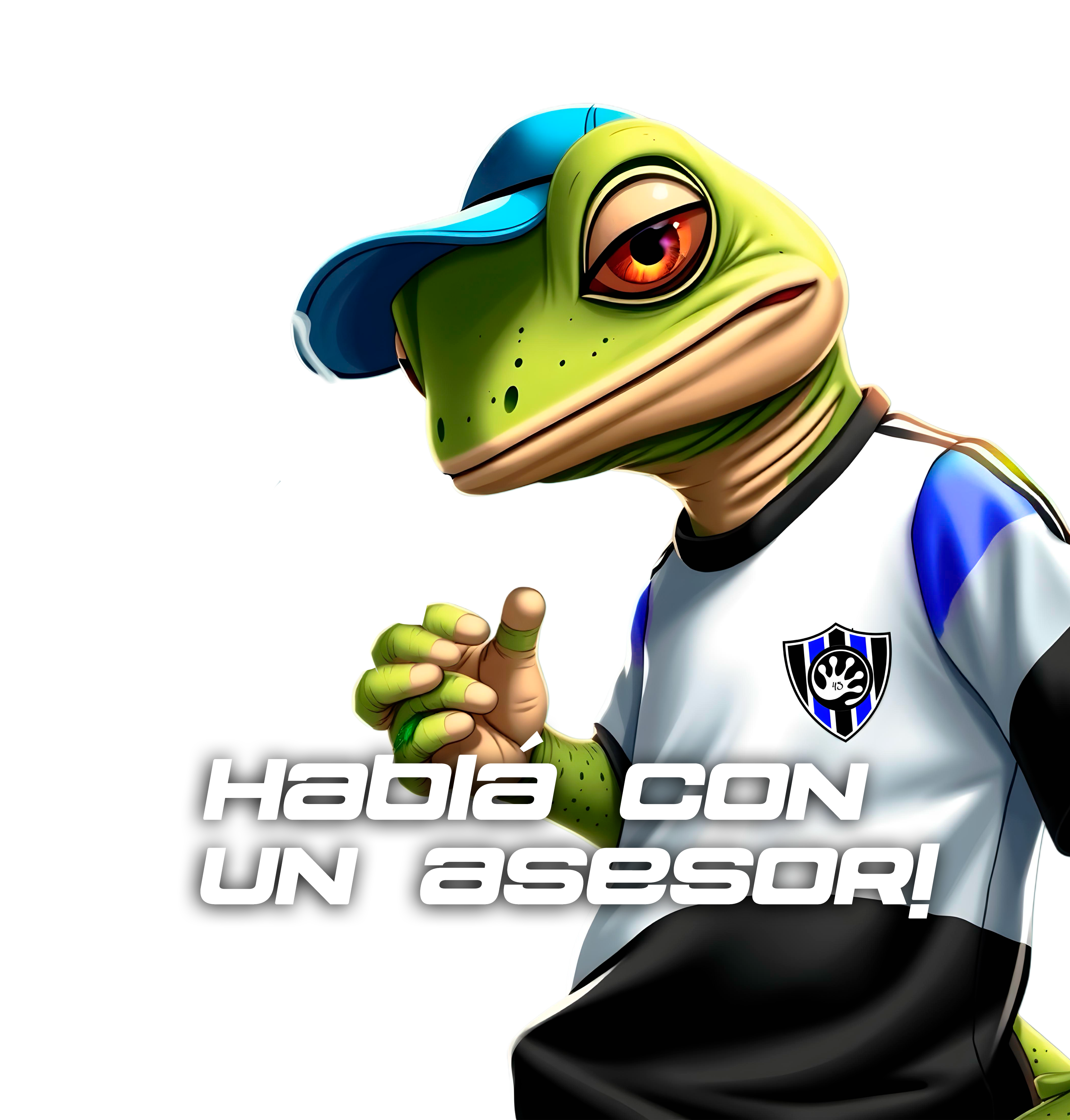 Contactar por WhatsApp